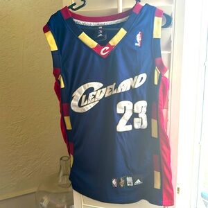 Lebron James Cleveland Cavaliers jersey.